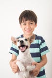 Little boy playing with his friend dog jack russel on white stock photo Little boy playing with his friend dog jack russel on white stock photo