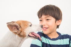 Little boy playing with his friend dog jack russel royalty free stock images Little boy playing with his friend dog jack russel royalty free stock images