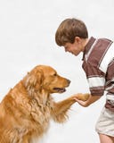Little Boy Shaking With Dog