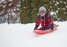 Little Boy Sledding. Stock Photography