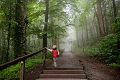 Little boy during stroll in foggy misterious park Stock Photo Little boy during stroll in foggy misterious park Stock Photo
