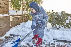 Little caucasian boy shovels snow in the yard with beautiful snowy rose bushes. Child with shovel plays outdoors in winter. Childr royalty free stock image Little caucasian boy shovels snow in the yard with beautiful snowy rose bushes. Child with shovel plays outdoors in winter. Childr royalty free stock image