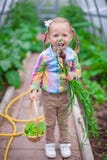 Little cute girl with the harvest in a greenhouse royalty free stock image Little cute girl with the harvest in a greenhouse royalty free stock image