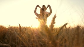 Little daughter plays on shoulders of farmers father in wheat field. Happy child and father are playing together in open