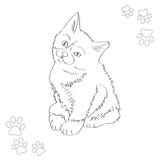 Little fluffy black and white kitten. Pretty trusting creature. Favorite pets. Vector illustration. Stock Photo Little fluffy black and white kitten. Pretty trusting creature. Favorite pets. Vector illustration. Stock Photo