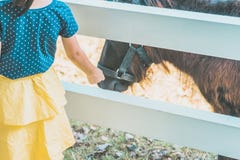 Little girl feeding horse in her farm through a white wooden fen royalty free stock images Little girl feeding horse in her farm through a white wooden fen royalty free stock images
