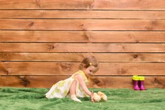 little girl feeding chickens royalty free stock photos little girl feeding chickens royalty free stock photos
