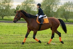 Little girl jockey riding a horse across country in professional outfit Royalty Free Stock Photo Little girl jockey riding a horse across country in professional outfit Royalty Free Stock Photo