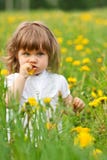 Little girl in a meadow