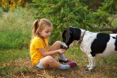 Little girl and mongrel dog outdoors royalty free stock photo Little girl and mongrel dog outdoors royalty free stock photo