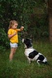 Little girl and mongrel dog outdoors stock image Little girl and mongrel dog outdoors stock image