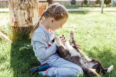 Little girl is playing with a dog. a dog as a gift to children. children`s smile on the nature Royalty Free Stock Images Little girl is playing with a dog. a dog as a gift to children. children`s smile on the nature Royalty Free Stock Images