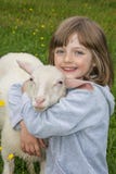Little Girl With Sheep Stock Photography
