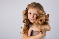 Little girl with Yorkshire Terrier dog isolated on gray background. Kids pet friendship royalty free stock images Little girl with Yorkshire Terrier dog isolated on gray background. Kids pet friendship royalty free stock images
