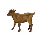 Little goat kid vector illustration Little goat kid vector illustration
