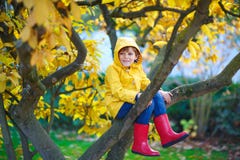 Little kid boy in colorful clothes enjoying climbing on tree on stock photo Little kid boy in colorful clothes enjoying climbing on tree on stock photo