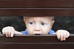 Little sad boy looking out through fence royalty free stock photo Little sad boy looking out through fence royalty free stock photo