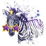 little zebra T-shirt graphics. little zebra illustration with splash watercolor textured background. unusual illustration waterc