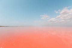 Living coral lake. Color of the year 2019. royalty free stock photo Living coral lake. Color of the year 2019. royalty free stock photo