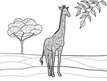 Livre de coloriage de girafe pour le vecteur d'adultes illustration de vecteur Livre de coloriage de girafe pour le vecteur d'adultes illustration de vecteur