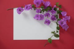 Livro Branco do modelo com espaço para o texto no fundo e na flor vermelhos imagens de stock Livro Branco do modelo com espaço para o texto no fundo e na flor vermelhos imagens de stock