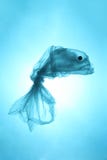 Lixo plástico no mar Poluição do desperdício do oceano do mundo Silhueta dos peixes de um saco de plástico usado imagens de stock Lixo plástico no mar Poluição do desperdício do oceano do mundo Silhueta dos peixes de um saco de plástico usado imagens de stock