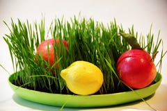 Ljus bild av gräsplaner, citron, tomater, gurkor, sallad arkivfoto Ljus bild av gräsplaner, citron, tomater, gurkor, sallad arkivfoto