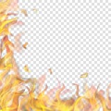 Llama del fuego en izquierda y abajo libre illustration Llama del fuego en izquierda y abajo libre illustration