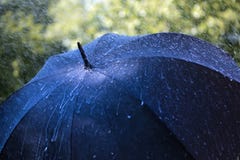 Lluvia en el paraguas Lluvia en el paraguas