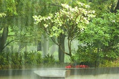 Lluvia en los jardines por la bahía - jardines botánicos en Singapur fotografía de archivo Lluvia en los jardines por la bahía - jardines botánicos en Singapur fotografía de archivo