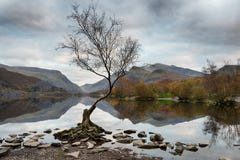 Llyn Padarn i Wales arkivfoto Llyn Padarn i Wales arkivfoto