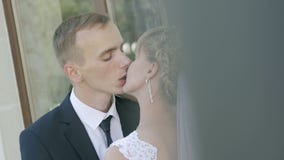 Lo sposo abbraccia la sposa in un parco nel sole stock footage Lo sposo abbraccia la sposa in un parco nel sole stock footage