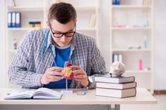 Lo studente di medicina che studia cuore in aula durante la conferenza Immagine Stock Libera da Diritti Lo studente di medicina che studia cuore in aula durante la conferenza Immagine Stock Libera da Diritti