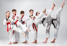 Lo studio ha sparato del gruppo di bambini che preparano le arti marziali di karatè Fotografia Stock Lo studio ha sparato del gruppo di bambini che preparano le arti marziali di karatè Fotografia Stock