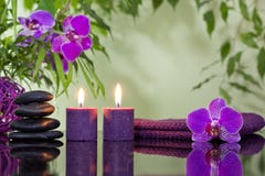 Lo zen lapida l'orchidea e le candele aromatiche Lo zen lapida l'orchidea e le candele aromatiche