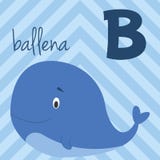Lo zoo sveglio del fumetto ha illustrato l'alfabeto con gli animali divertenti Alfabeto spagnolo: B per Ballena royalty illustrazione gratis Lo zoo sveglio del fumetto ha illustrato l'alfabeto con gli animali divertenti Alfabeto spagnolo: B per Ballena royalty illustrazione gratis