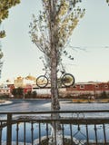 Local curious bicycle ornament stock photo Local curious bicycle ornament stock photo