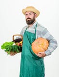 Local farm. Farmer lifestyle professional occupation. Farming and agriculture. Farmer wear apron hold pumpkin white royalty free stock photos Local farm. Farmer lifestyle professional occupation. Farming and agriculture. Farmer wear apron hold pumpkin white royalty free stock photos
