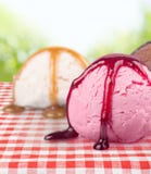 Lody miarki fotografia royalty free Lody miarki fotografia royalty free