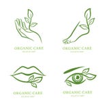 Logo de vecteur, label, ensemble d'emblème Main femelle, pied, oeil, lèvres avec les feuilles vertes, illustration de vecteur Logo de vecteur, label, ensemble d'emblème Main femelle, pied, oeil, lèvres avec les feuilles vertes, illustration de vecteur