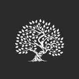 Logo naturel et sain organique de silhouette d'olivier d'isolement sur le fond foncé illustration libre de droits Logo naturel et sain organique de silhouette d'olivier d'isolement sur le fond foncé illustration libre de droits
