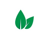 Logos of green leaf ecology vector illustration Logos of green leaf ecology vector illustration