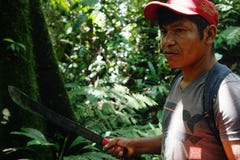 Lokales ticuna Stammes- Mitglied, das nach einem Klotz sucht, um mitten in dem Regenwald zu fallen lizenzfreie stockfotos Lokales ticuna Stammes- Mitglied, das nach einem Klotz sucht, um mitten in dem Regenwald zu fallen lizenzfreie stockfotos