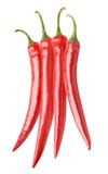 Lokalisiertes Bündel rote Pfeffer stockbild Lokalisiertes Bündel rote Pfeffer stockbild