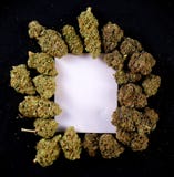 Lona branca quadro pelos botões secados do cannabis Imagem de Stock Royalty Free Lona branca quadro pelos botões secados do cannabis Imagem de Stock Royalty Free