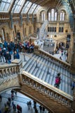 Londen Nationaal geschiedenismuseum stock fotografie Londen Nationaal geschiedenismuseum stock fotografie