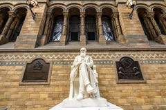 London, Großbritannien - 25. Juli 2017: Die Charles Darwin-Marmorstatue lizenzfreie stockbilder London, Großbritannien - 25. Juli 2017: Die Charles Darwin-Marmorstatue lizenzfreie stockbilder