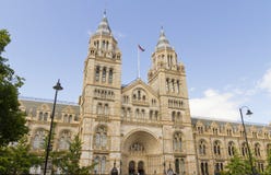London-Naturgeschichte-Museum lizenzfreie stockfotos London-Naturgeschichte-Museum lizenzfreie stockfotos