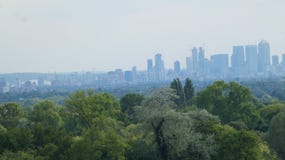 London Skyline rising from the forest The Shard and The O2 Arena royalty free stock photography London Skyline rising from the forest The Shard and The O2 Arena royalty free stock photography