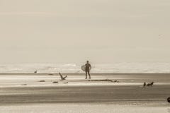 A lone surfer in wet suit returning to beach from ocean with birds standing and flying and a rope washed up onto the shore - Sepia stock photography A lone surfer in wet suit returning to beach from ocean with birds standing and flying and a rope washed up onto the shore - Sepia stock photography